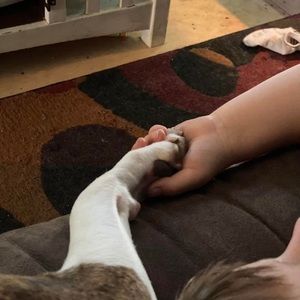 Meet your Posher, Sandy